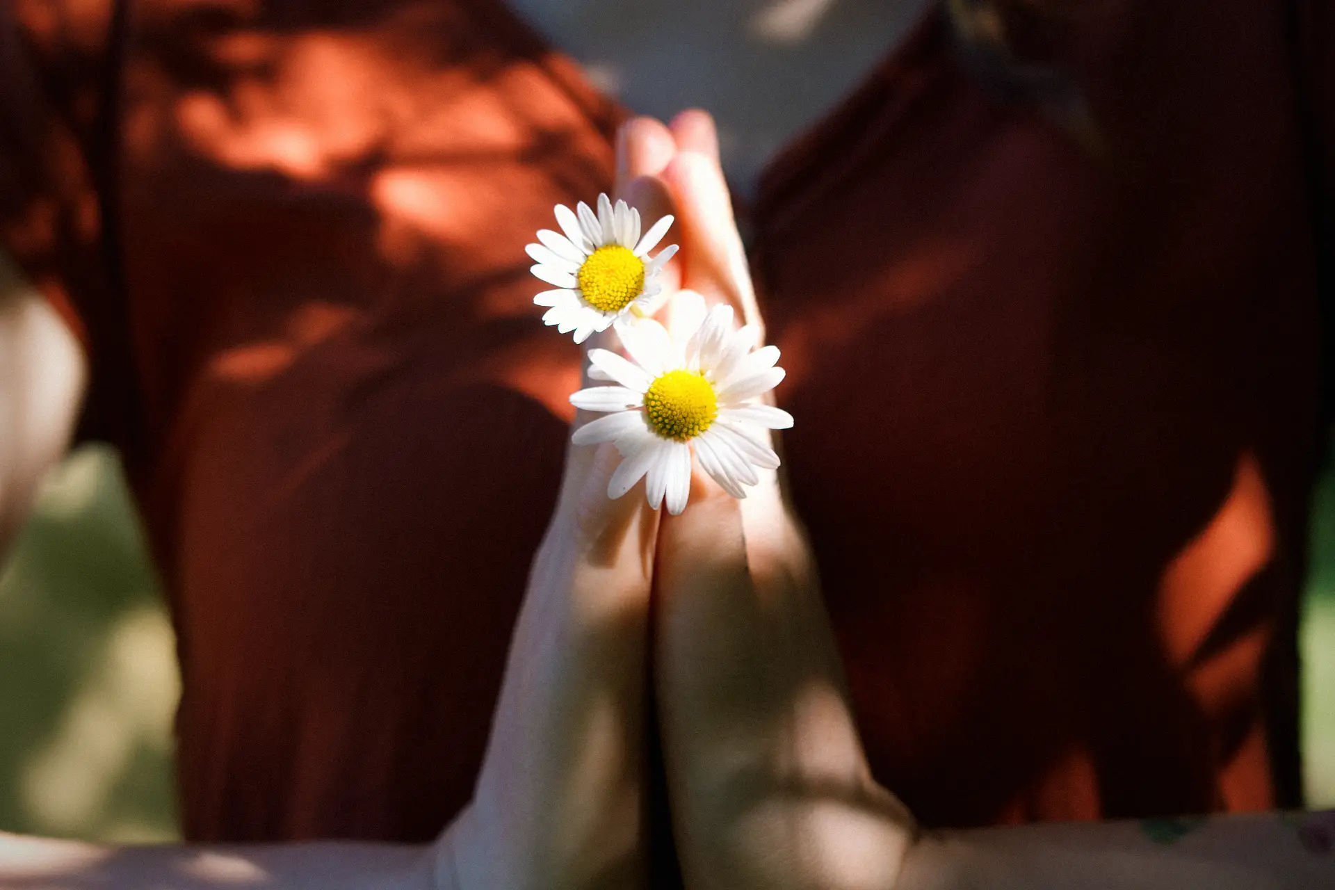 In Namaste-Handhaltung gefaltete Hände mit Gänseblümchen für Hatha- und Senioren-Yoga in Schwenningen und Trossingen von Sonnenkind Yoga.