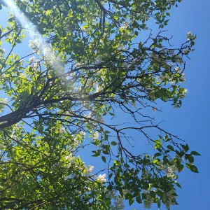 Stimmungsvolles Detailbild mit Elementen aus der Natur für eine entspannte Yoga-Atmosphäre im Kurs Schwenningen.