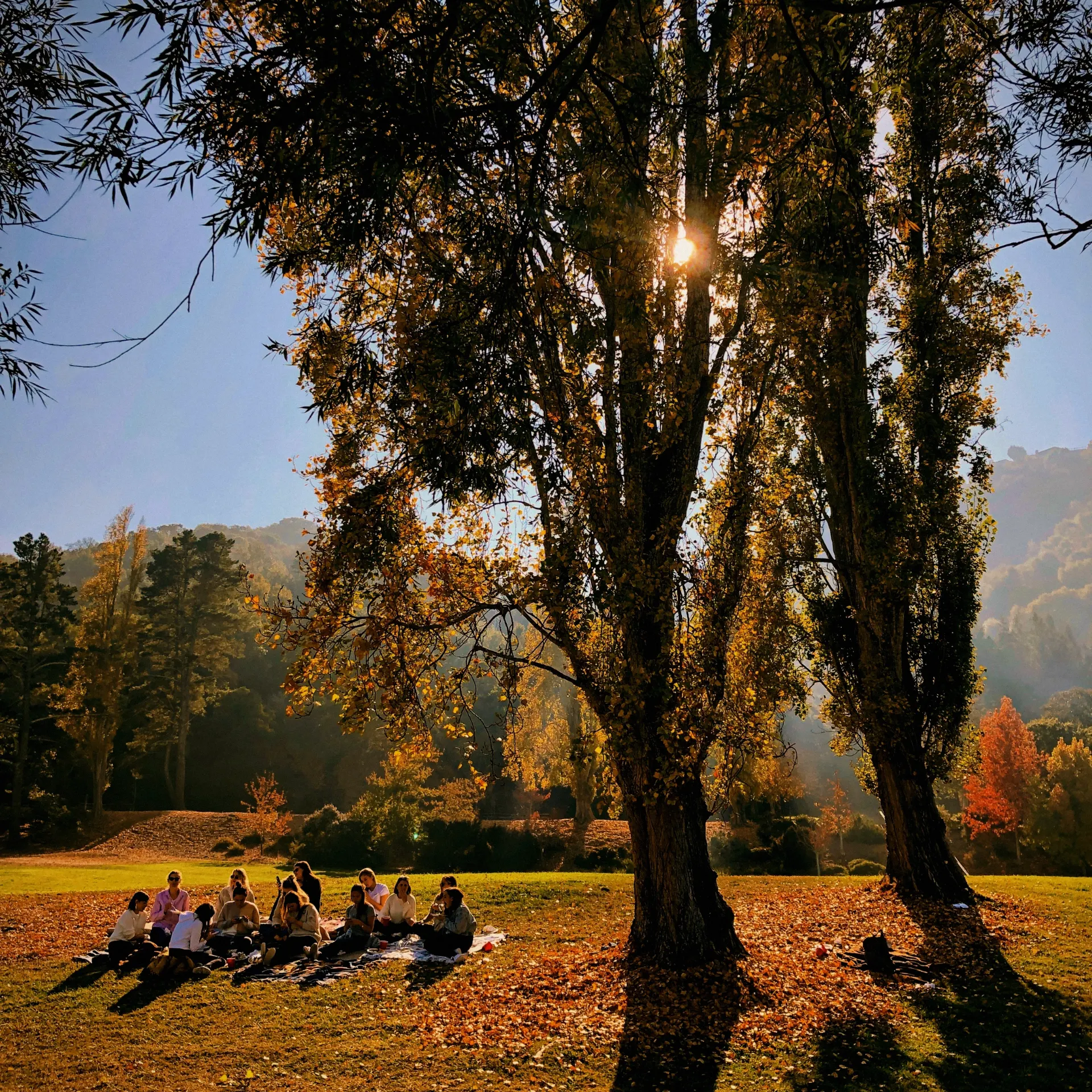 Gemeinsamer Yoga-Workshop in der Natur im warmen Sonnenlicht bei Sonnenkind Yoga.